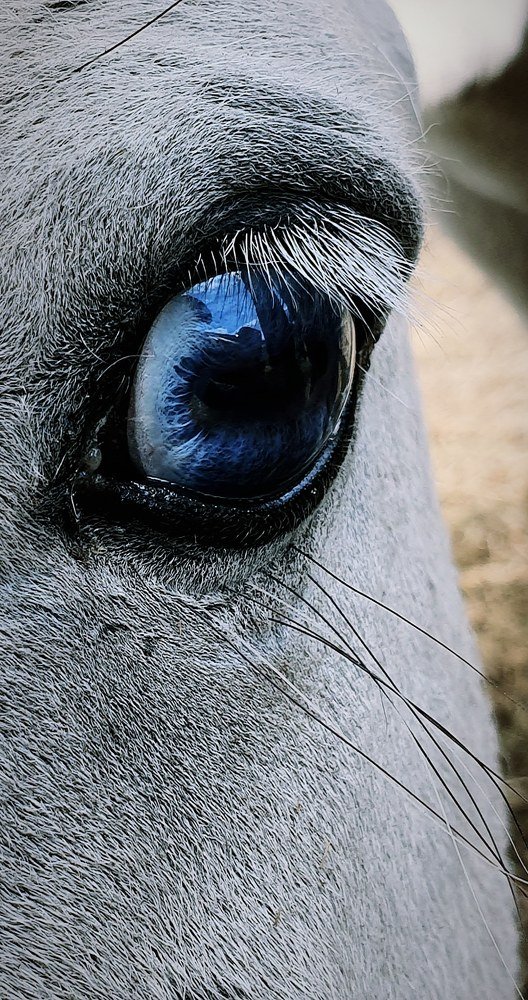 Photograph by Константин Кукушкин