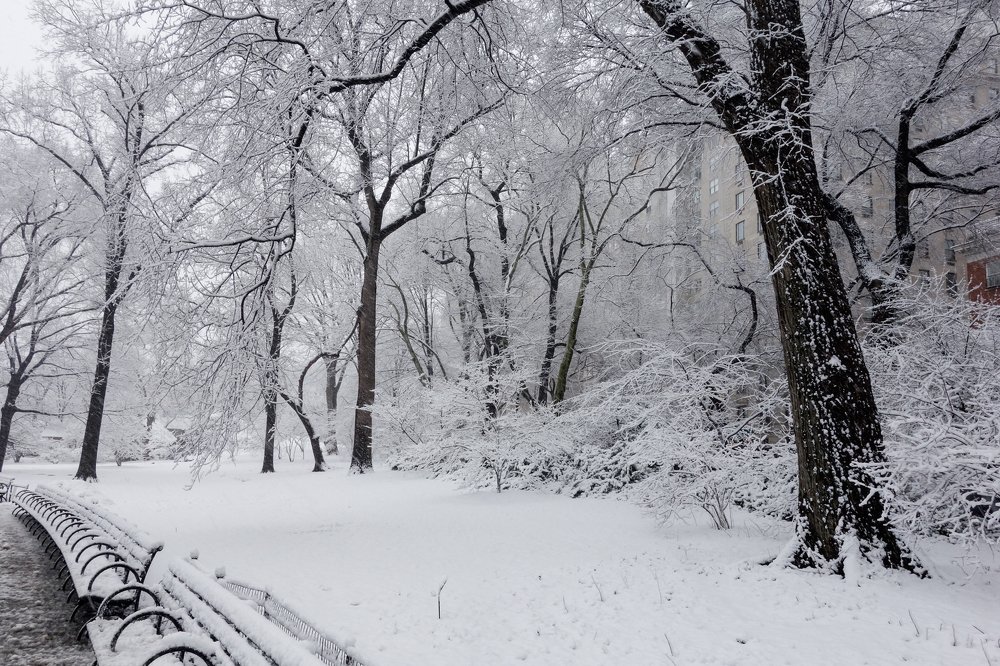 Photograph by Guillermo Bernaldo de Quiros