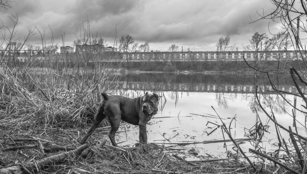 Photograph by Александр Халимов