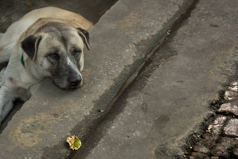 Photograph by Александр Халимов
