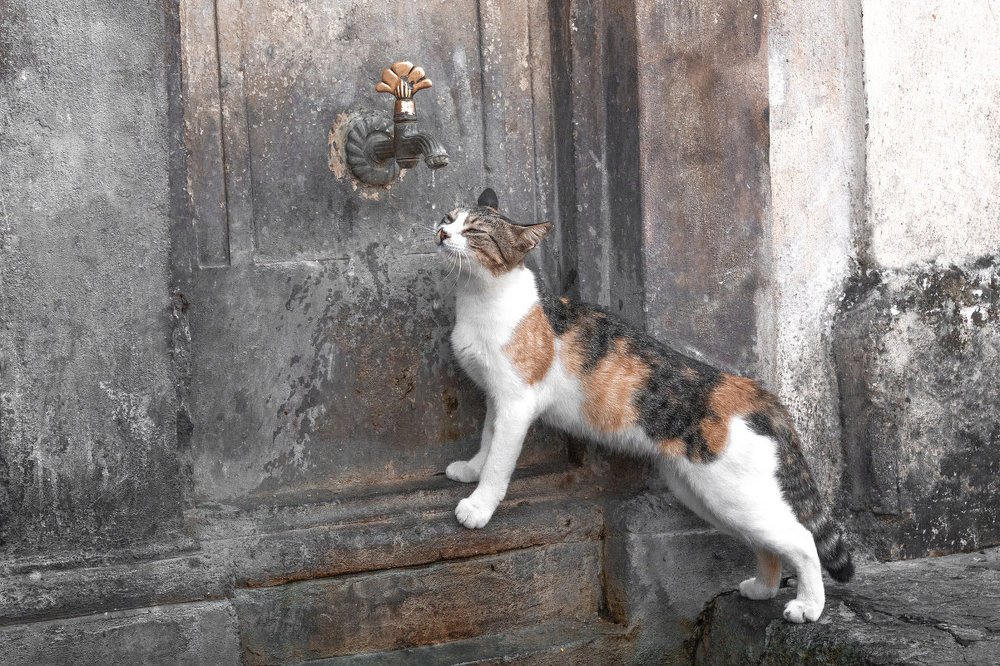 Photograph by Елена Гусева