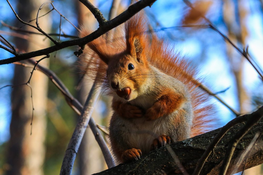Photograph by Дмитрий Тимин