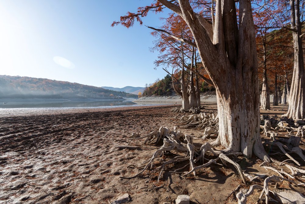 Photograph by Мария Чепрасова