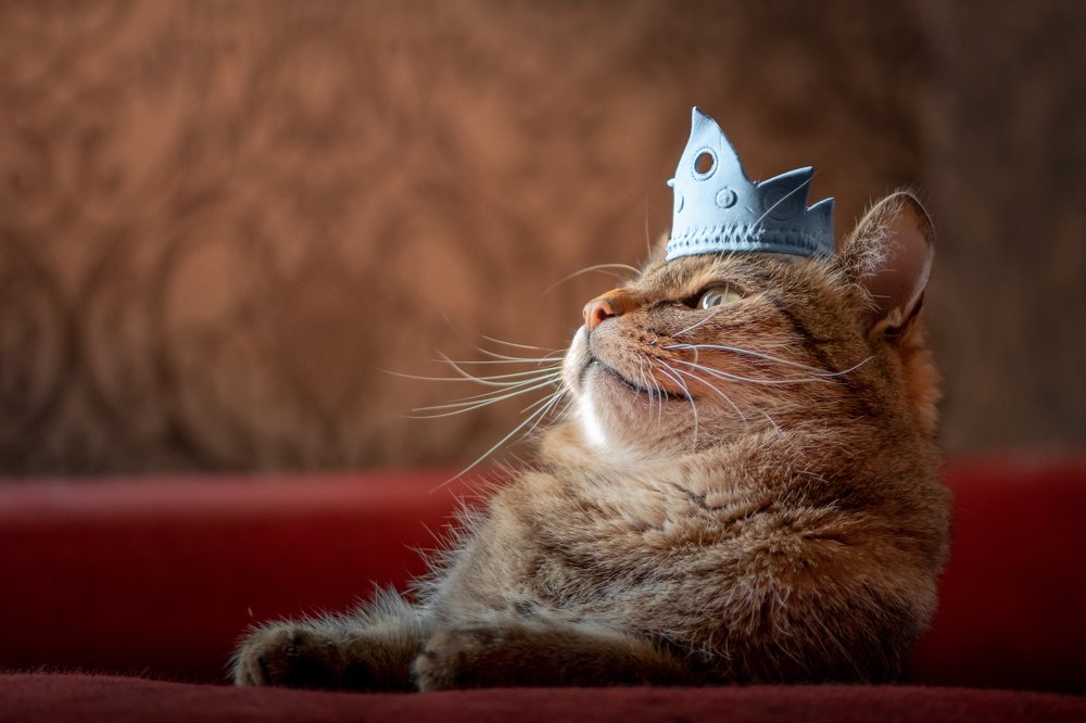 Photograph by Евгений