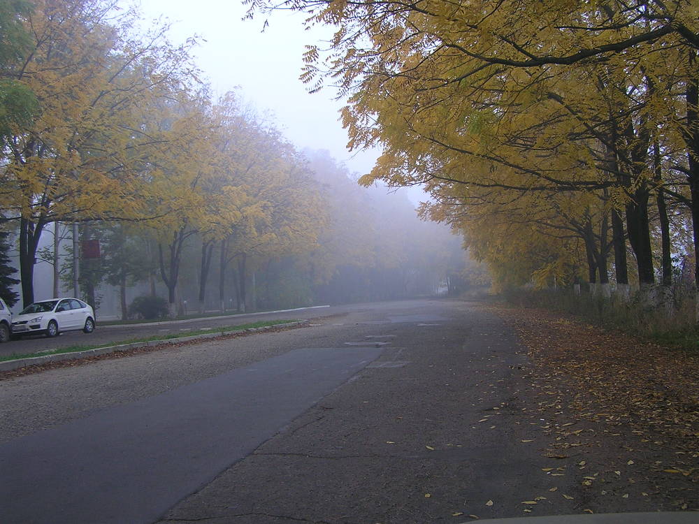 Photograph by Алексей Соболь