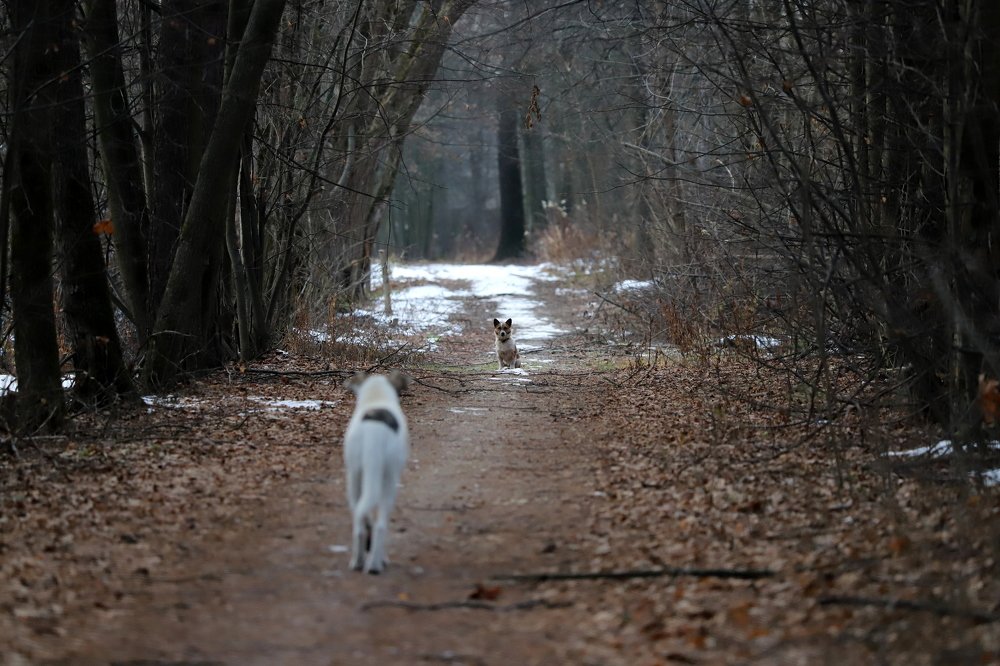 Photograph by Екатерина Мстиславская