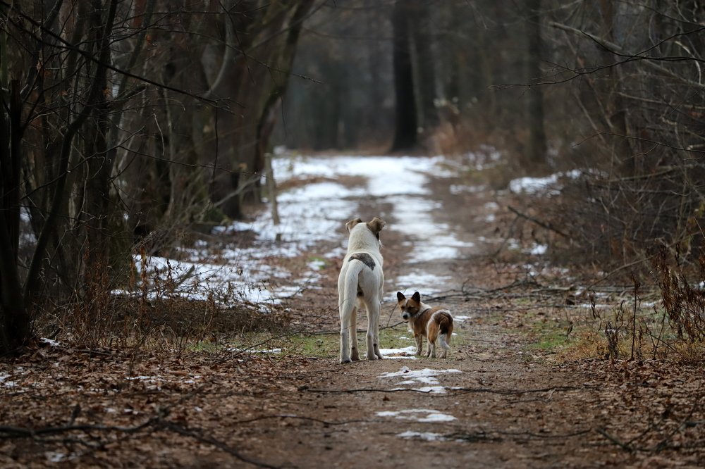 Photograph by Екатерина Мстиславская