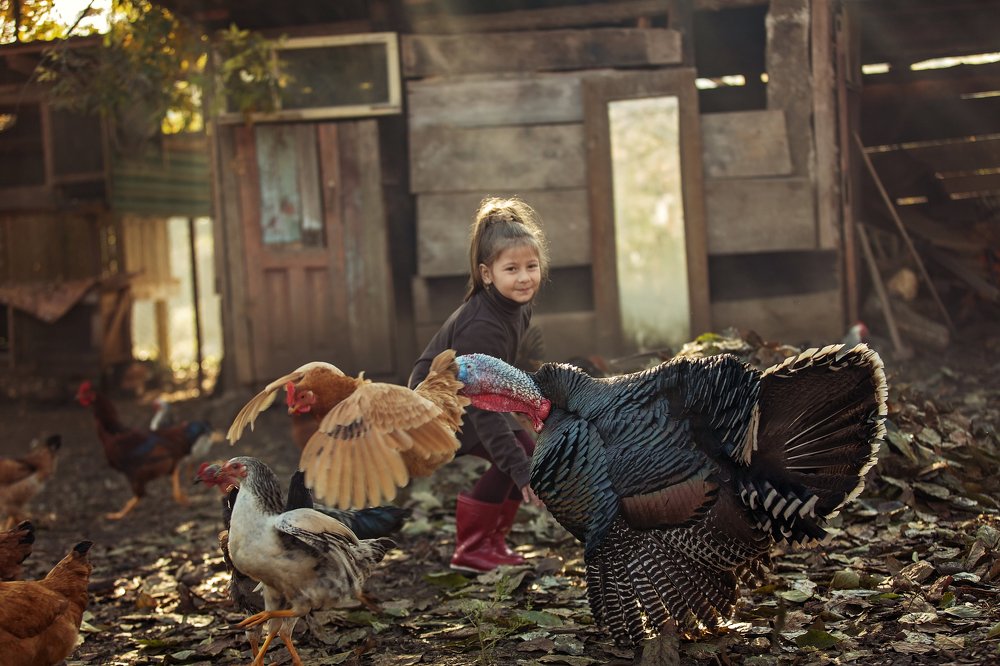 Photograph by Эля Цишба