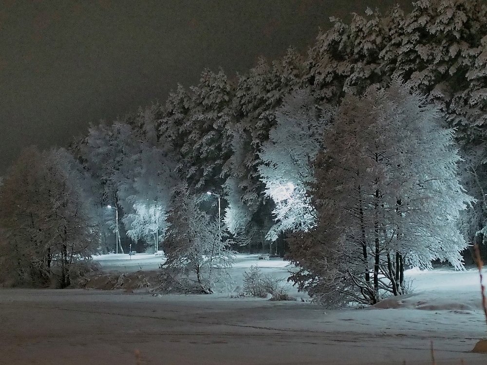 Зимнее утро