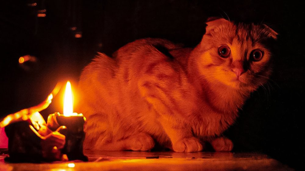 Photograph by Ахмат Макоев