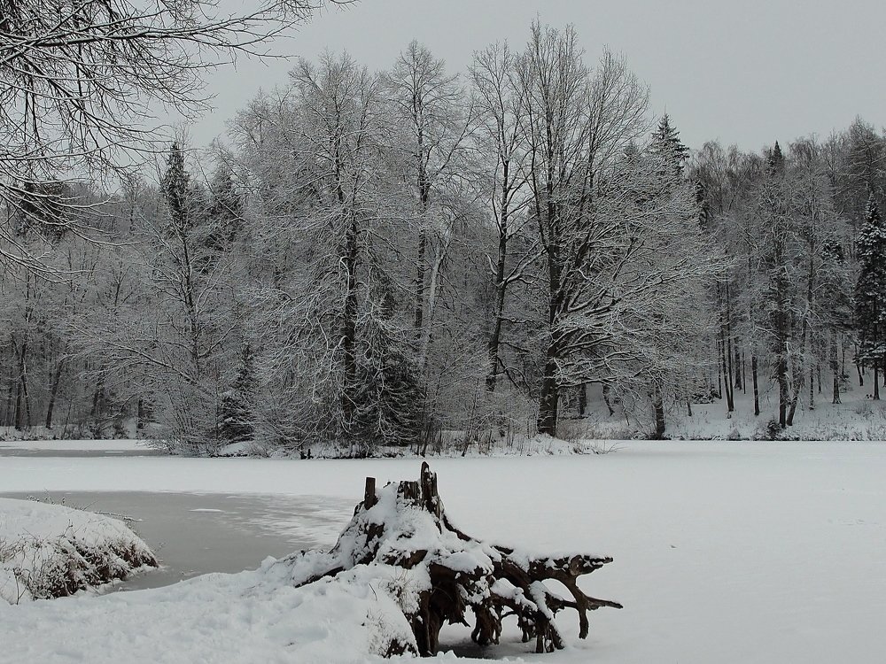Пруд в усадьбе Середниково