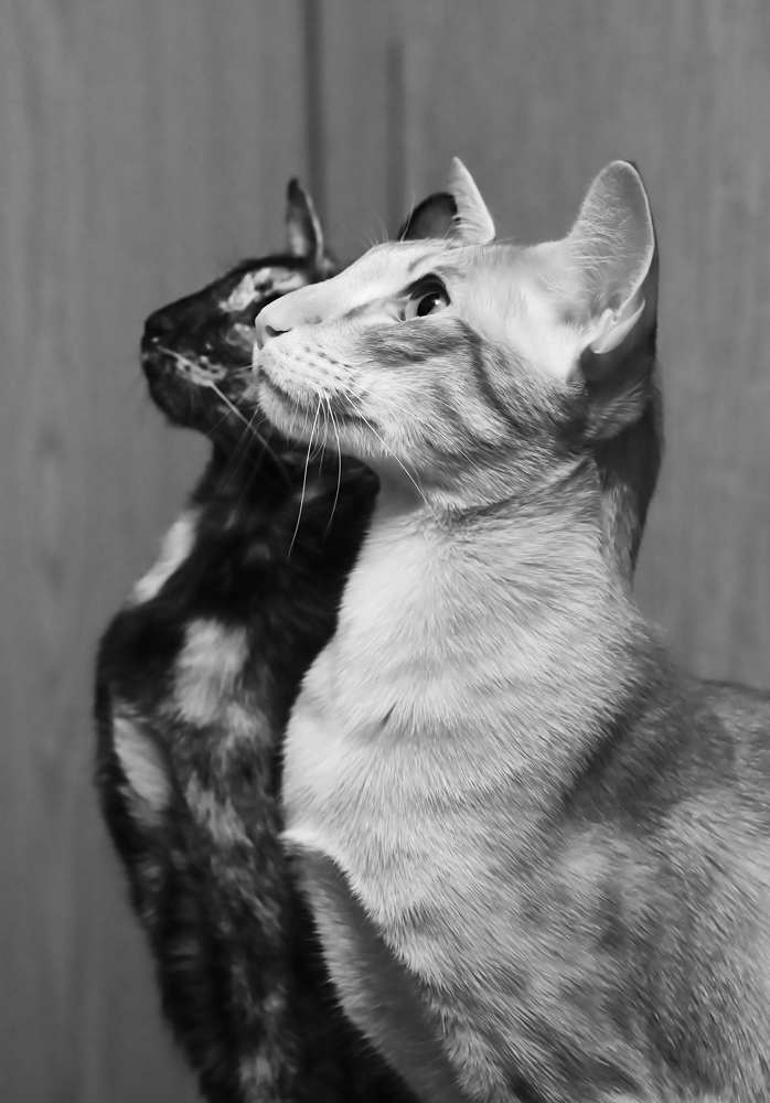 Photograph by Вадим Сигаев