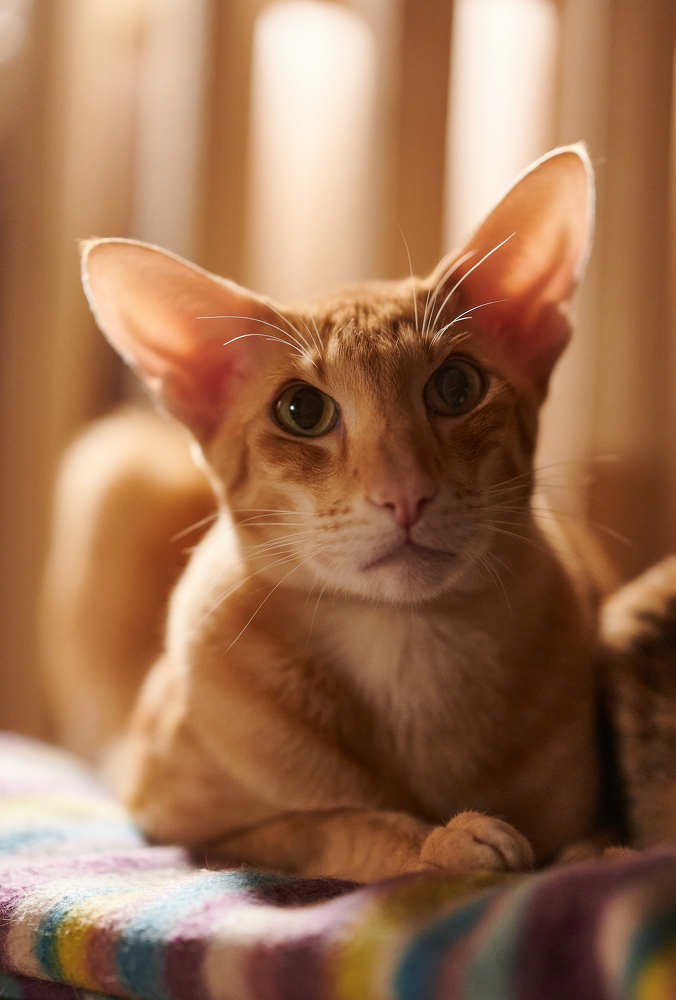 Photograph by Вадим Сигаев