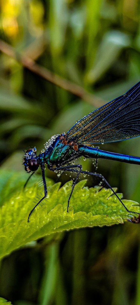 Photograph by Сергей