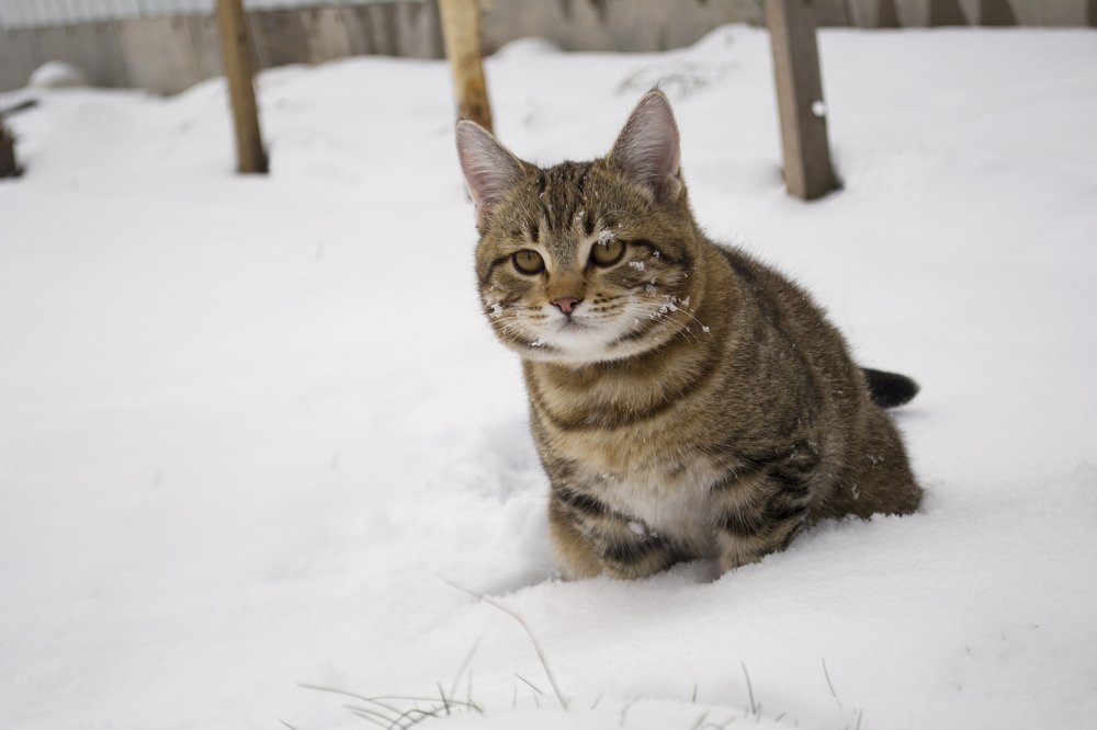 Photograph by Евгения Михайлова