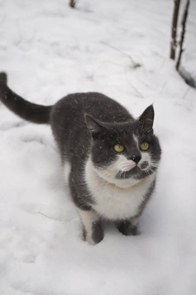 Photograph by Евгения Михайлова