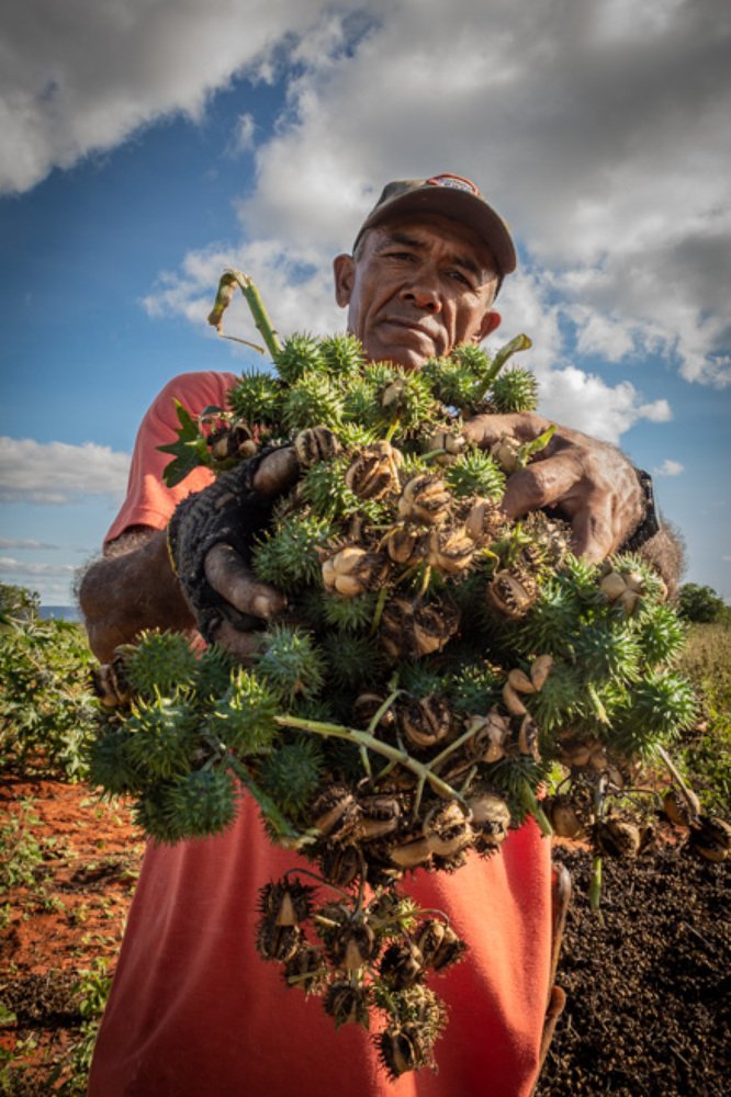 Photograph by Pedro Meneses