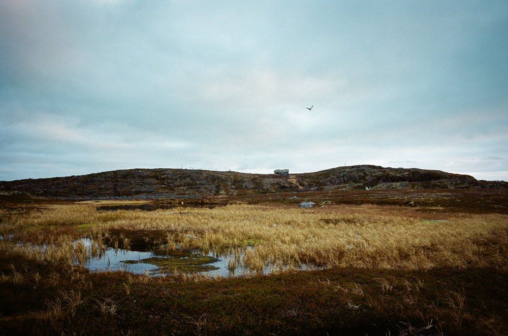 Photograph by Dmitry Gorbachev