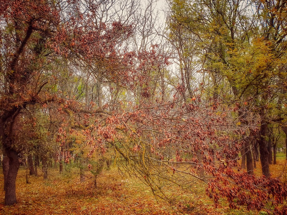 Photograph by Лариса Когтева