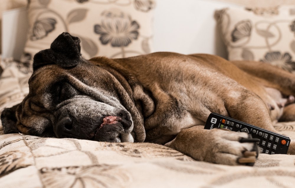 Photograph by Дмитрий Коваленко