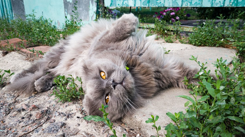 Photograph by Дмитрий Коваленко