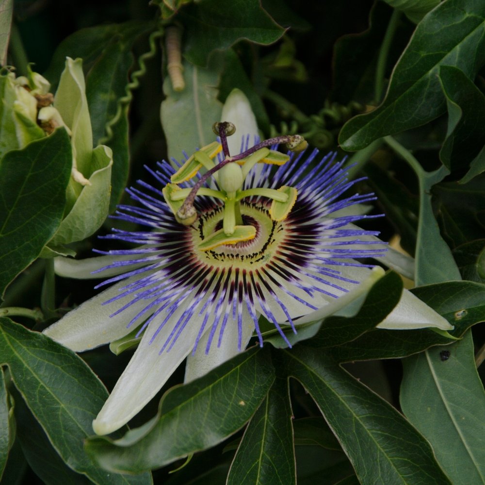 Photograph by Виктория Сметанина