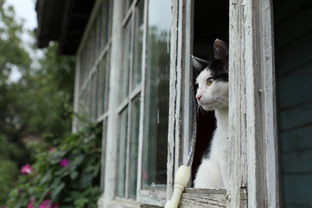 Photograph by Дарья Юсарева