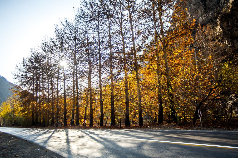 Photograph by DAMOUN POURNEMATI