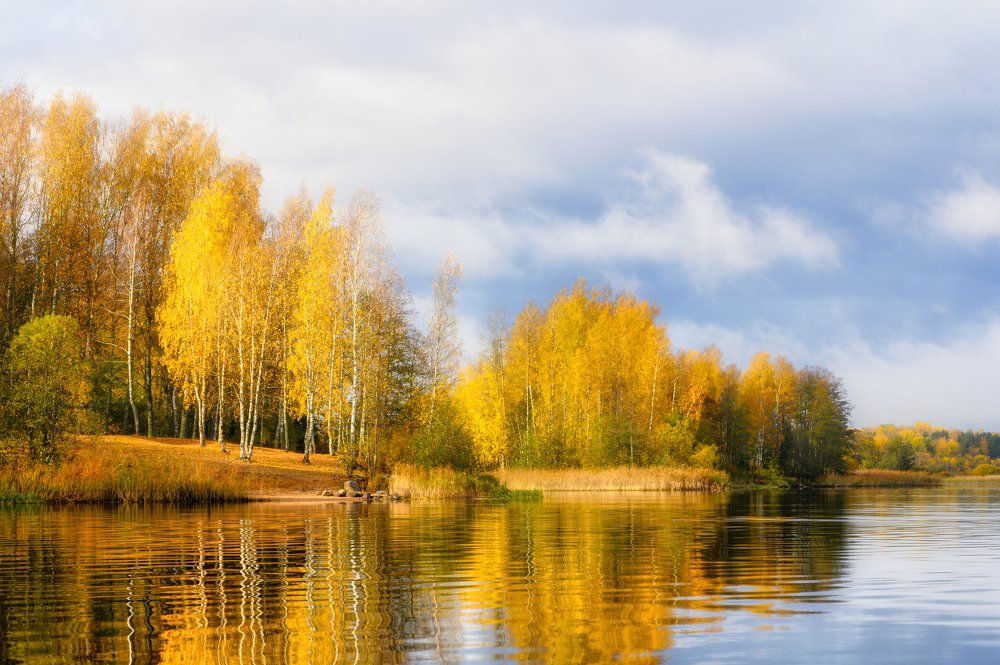 Photograph by Nau-Nau