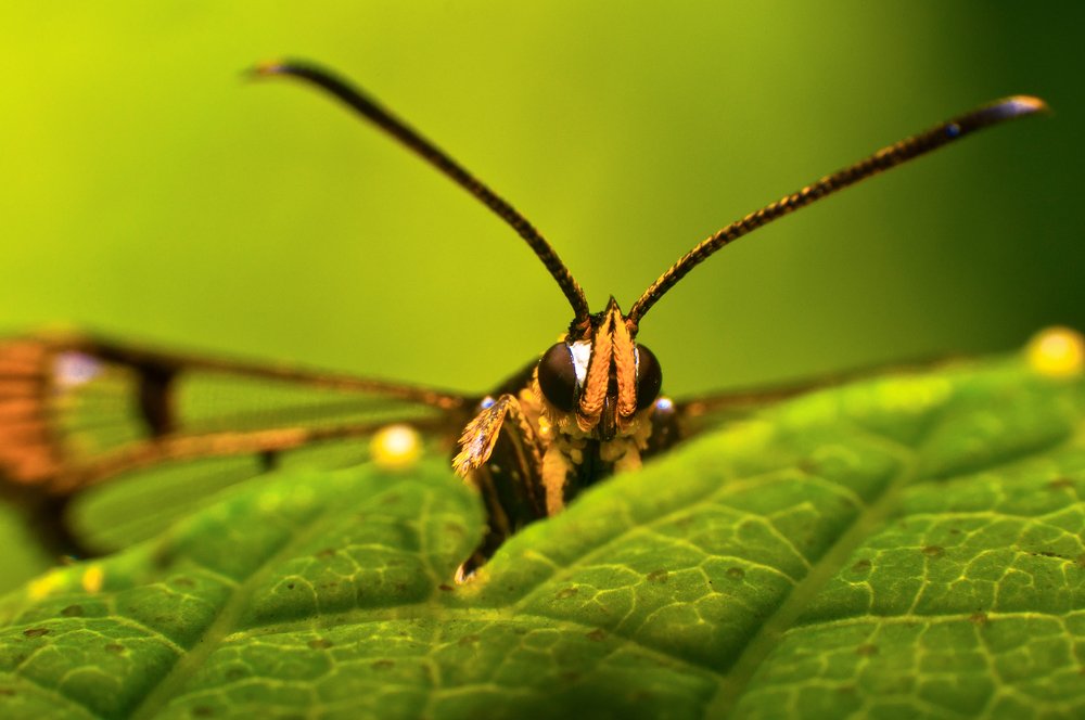 Photograph by Рустам Афлятунов