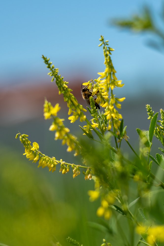 Photograph by Александр Шевченко