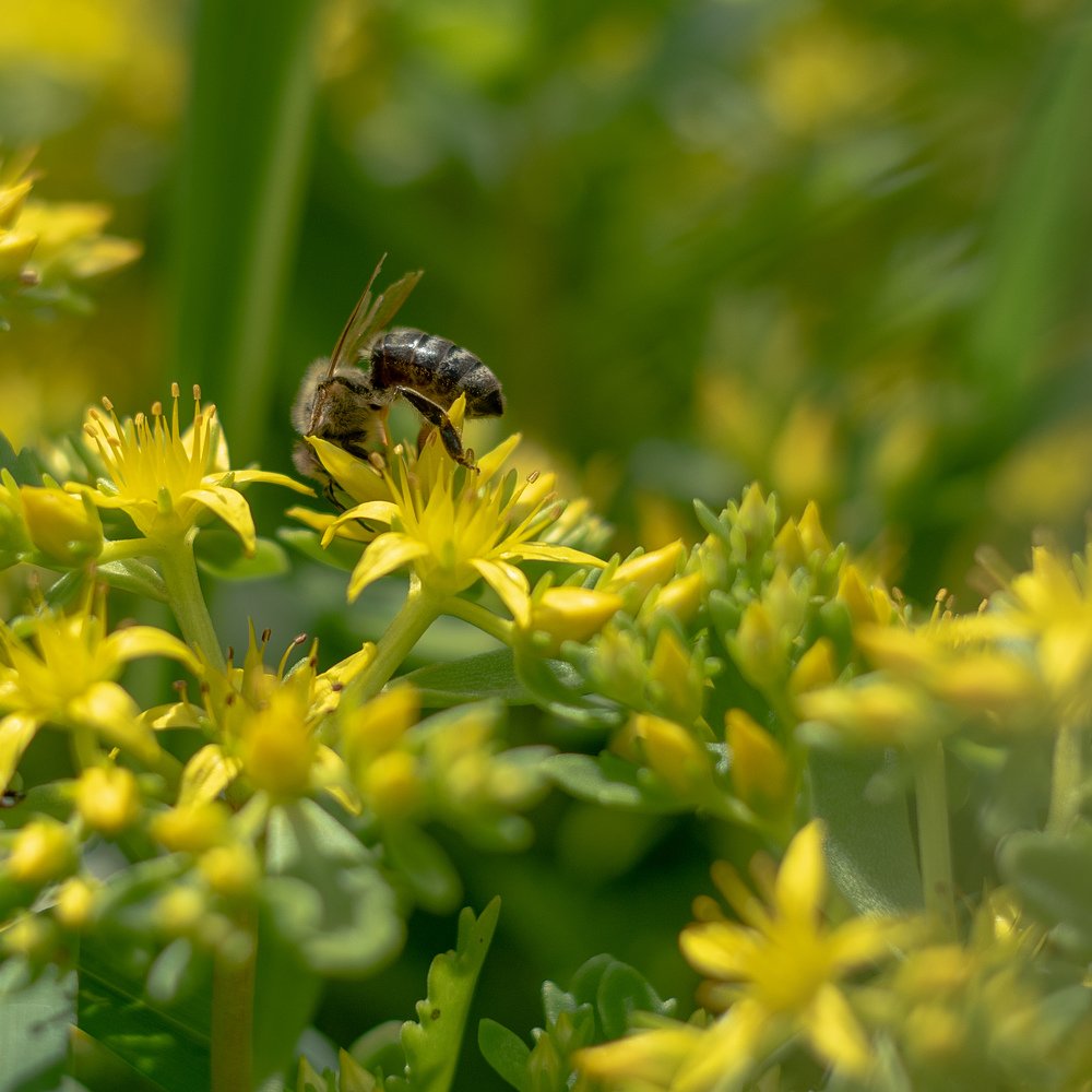 Photograph by Александр Шевченко