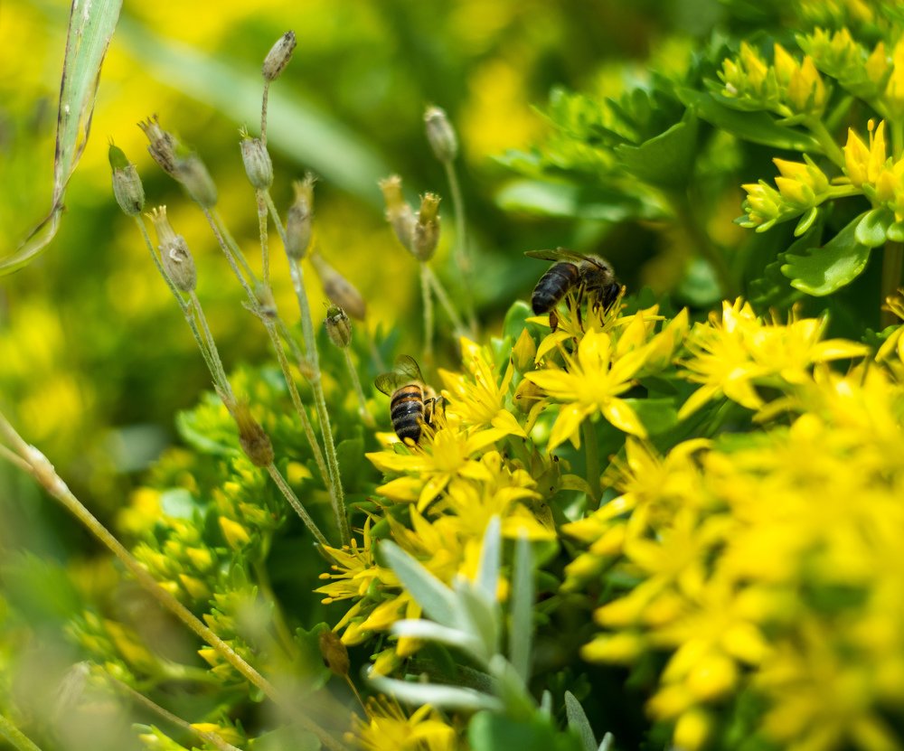 Photograph by Александр Шевченко