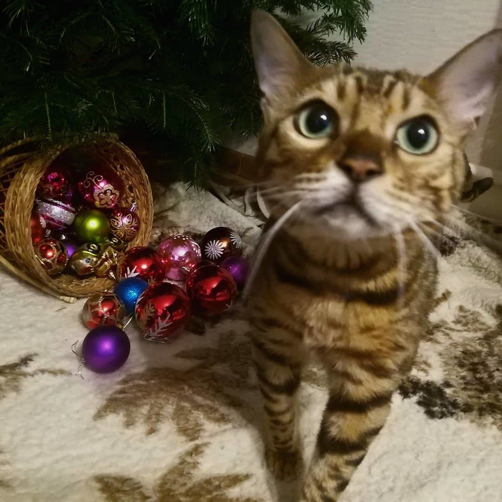 Photograph by Ирина Савина