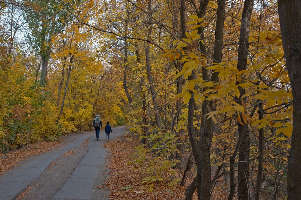 Photograph by Дарья Юсарева