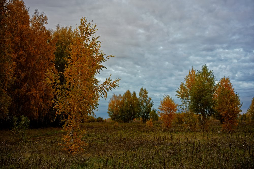 Photograph by Сергей Стукен
