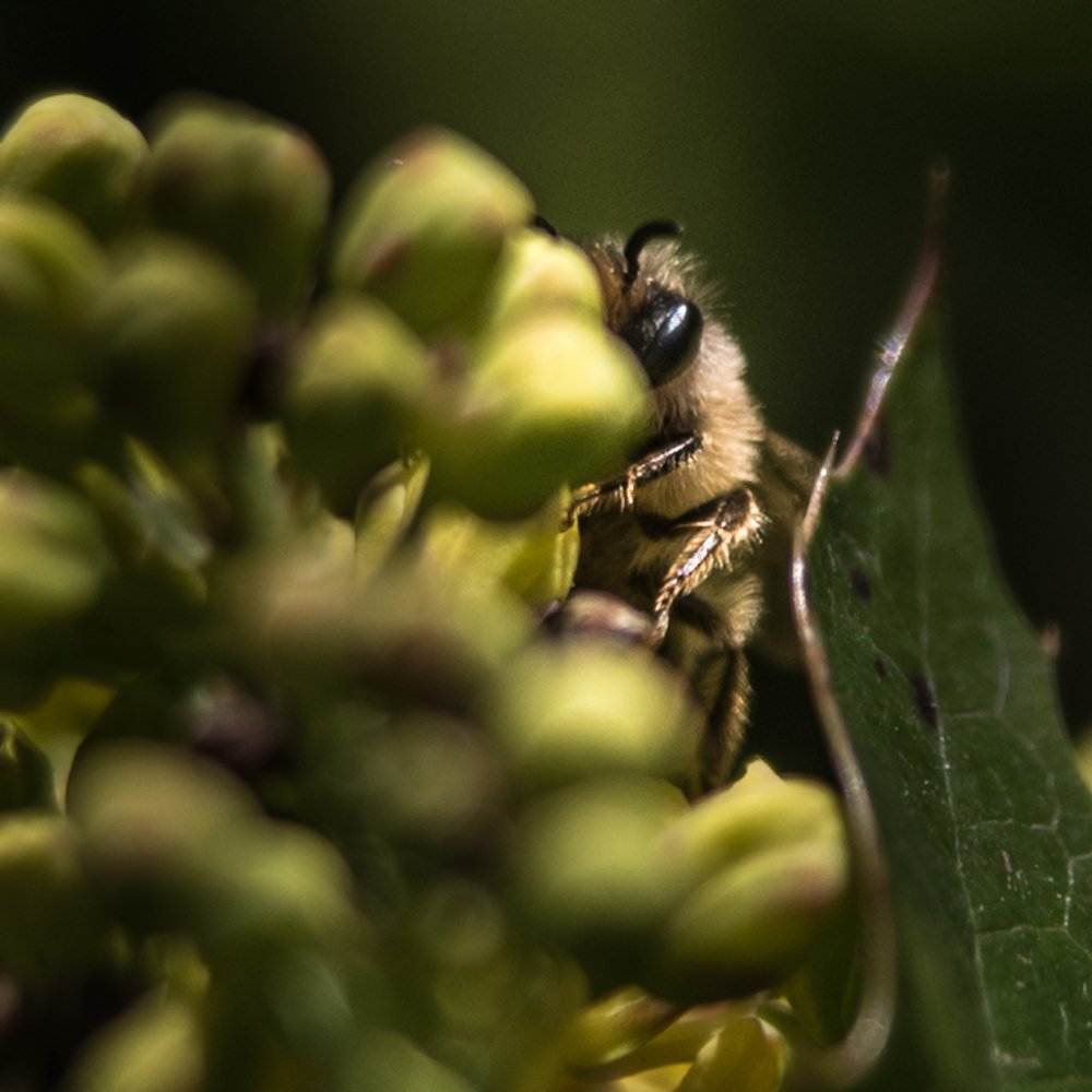 Фотография автора Anna Kajat