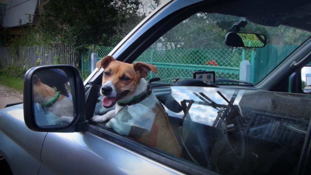 Photograph by Александр Антонов