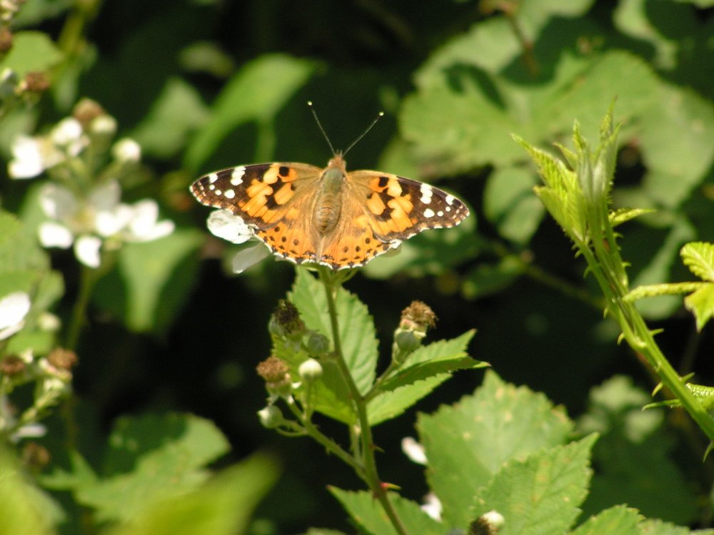 Photograph by Алексей Соболь
