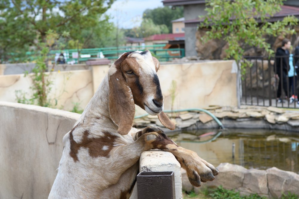 Photograph by Демьян Лопатов