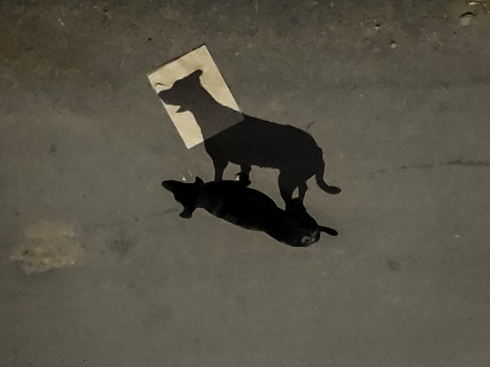 Lockdown photography