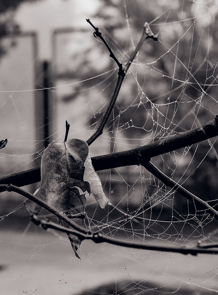 Фотография автора Ирина Якущенко