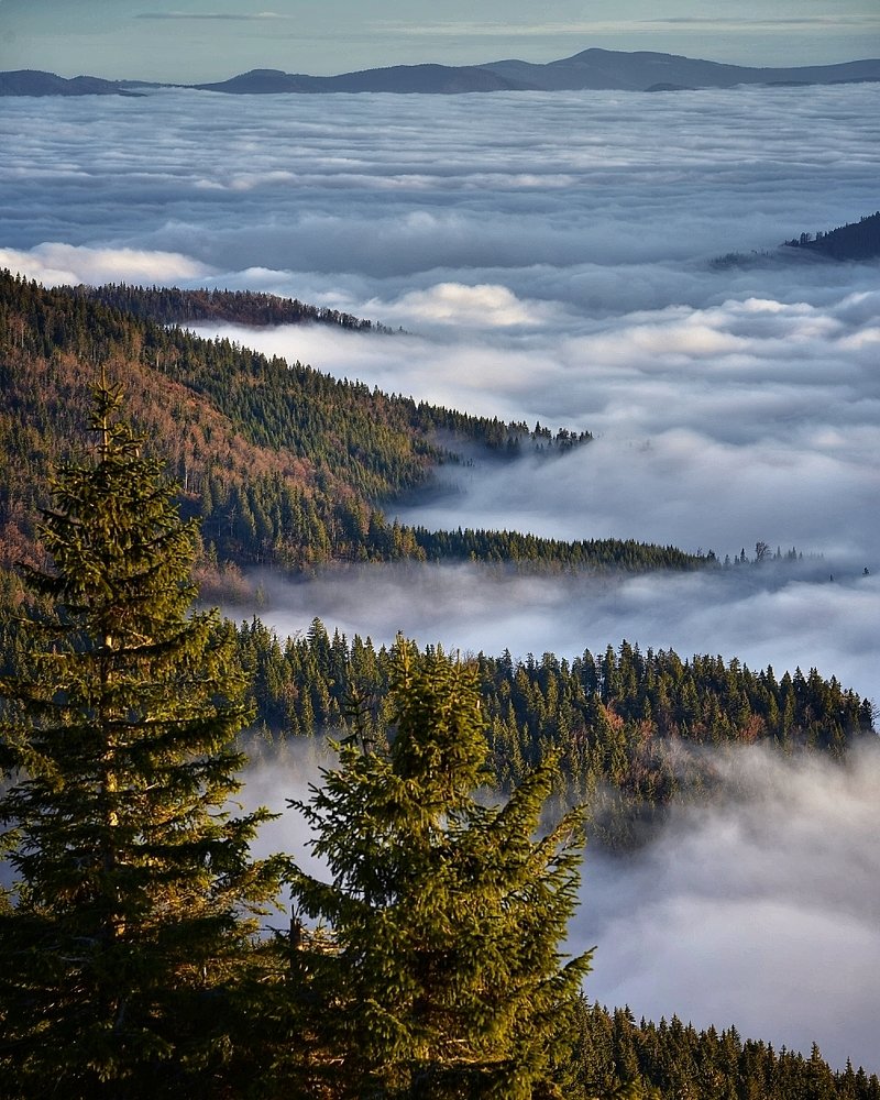 Photograph by Roman Adamják