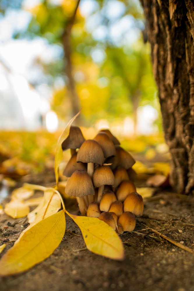 Photograph by Анастасия Киселева