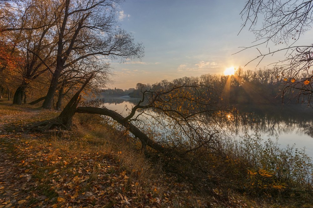 Photograph by Микола Мороз