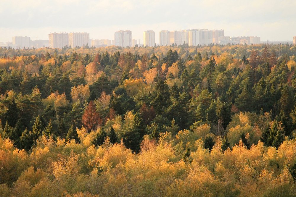 Балашиха, Россия