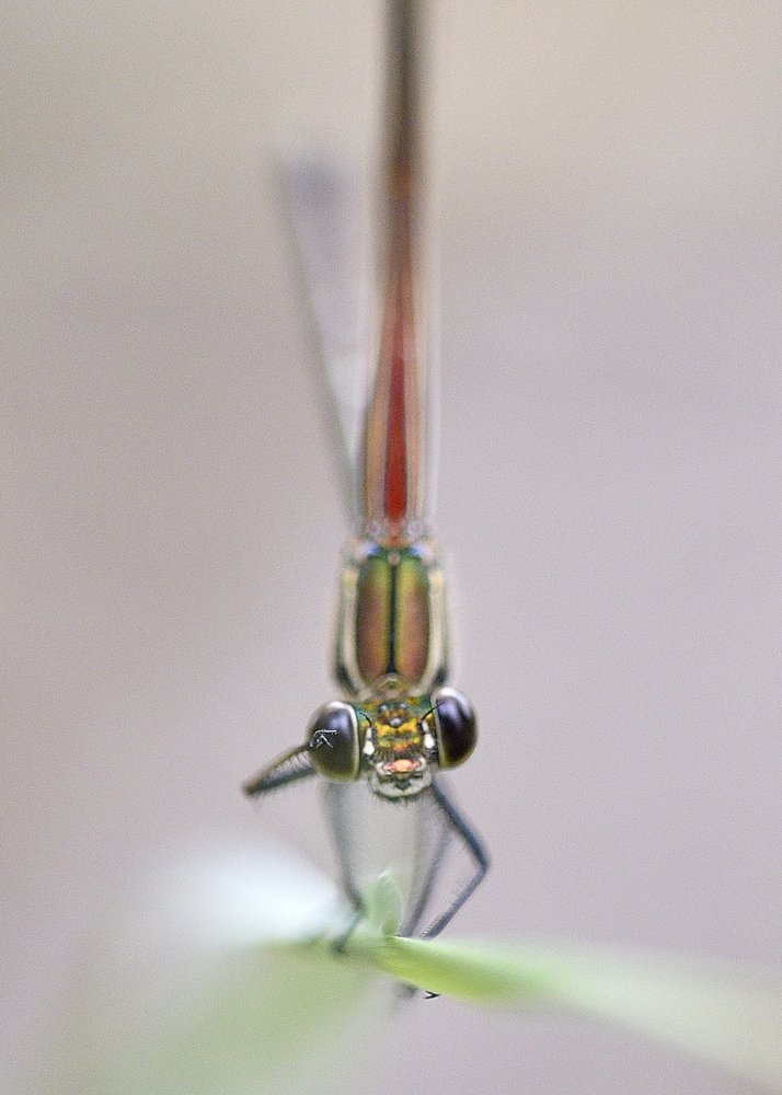 Photograph by eric keller