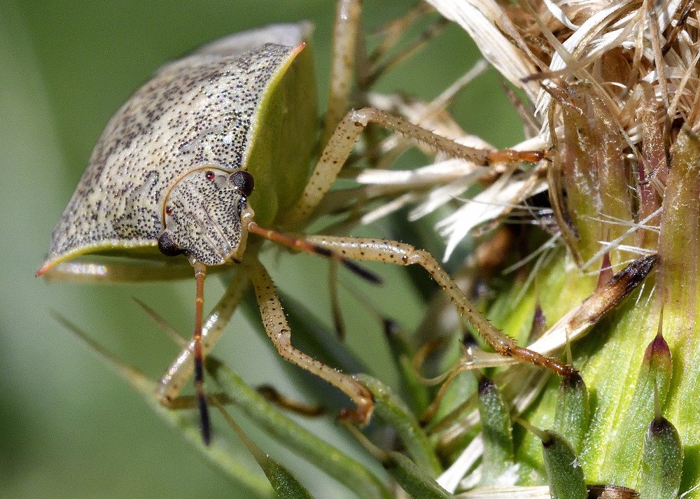 Photograph by eric keller