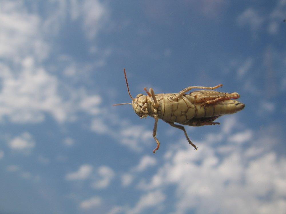 Photograph by Наталья Жигарева