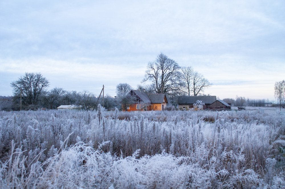 Домик в деревне